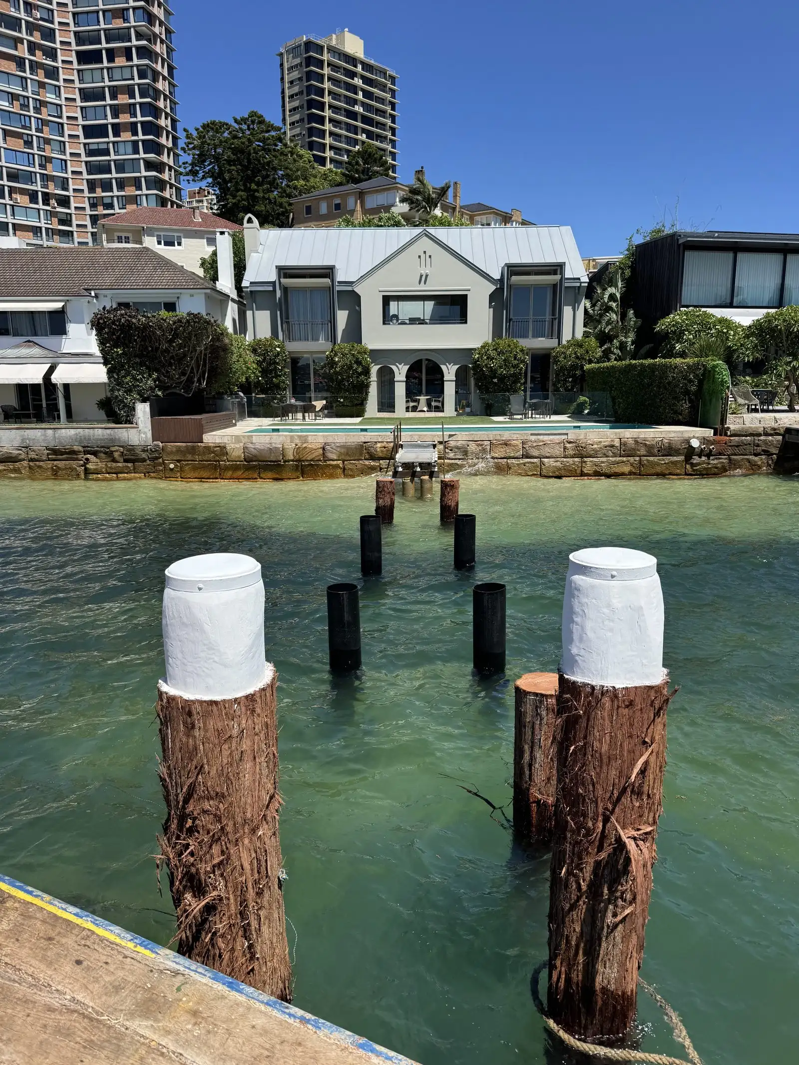 Timber piles with white protective caps standing alongside black-coated steel piles, showing the two pile types on one job