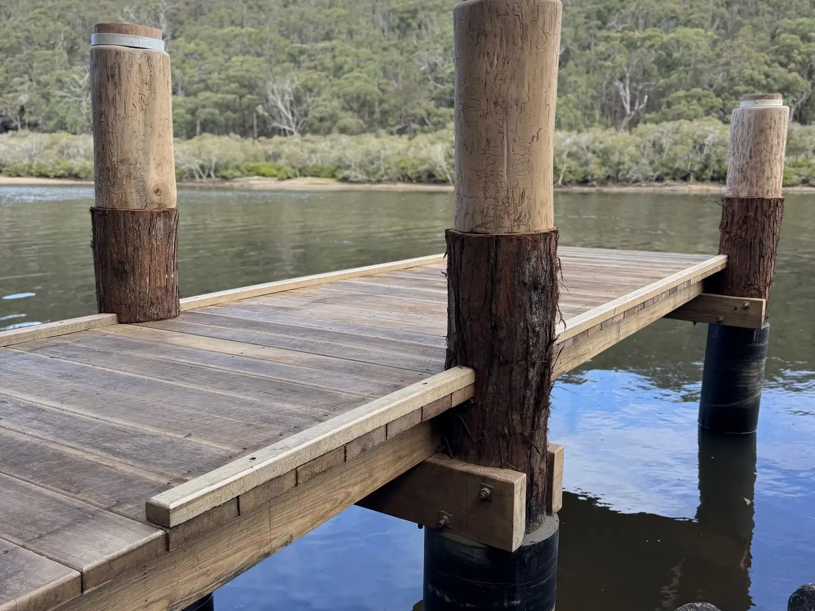 Turpentine timber piles with bark collars, capped and carrying a hardwood jetty deck