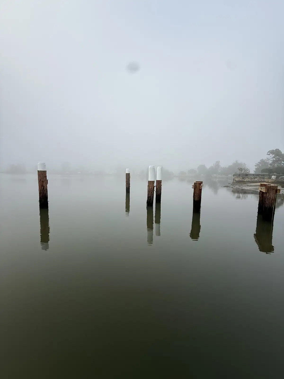 Bare jetty piles standing in still water on a foggy morning before the deck goes back on